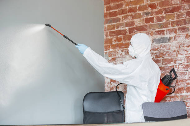  Fort Valley, GA Mold Removal Pros