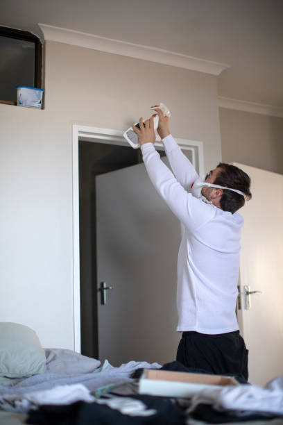 Best Basement Mold Removal  in Fort Valley, GA