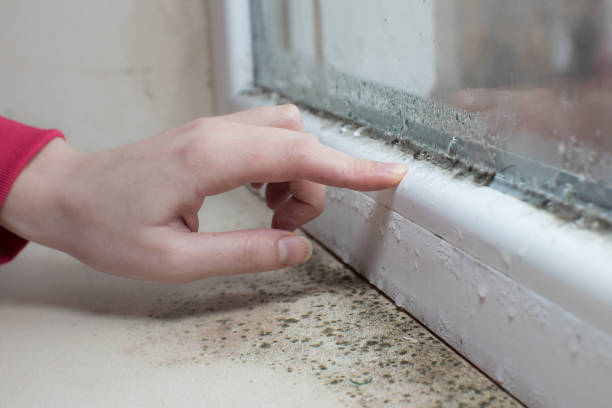 Best Real Estate Mold Inspection  in Fort Valley, GA